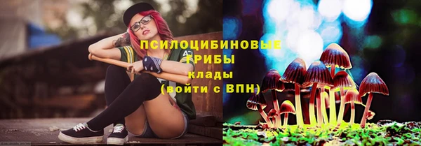 хмурый Алексин