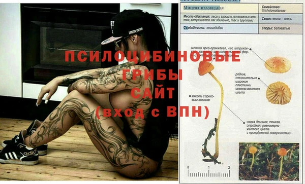 МДМА Абаза