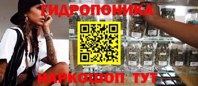 молекула духа Рузаевка
