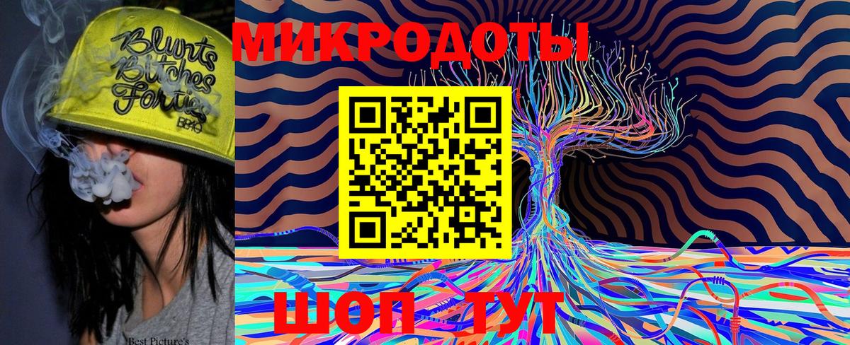 Галлюциногенные грибы Psilocybe Новочебоксарск