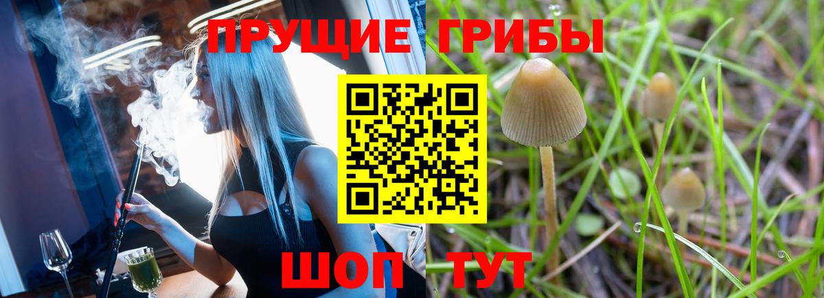 Галлюциногенные грибы Psilocybine cubensis  Вход с VPN  цены   Новочебоксарск 